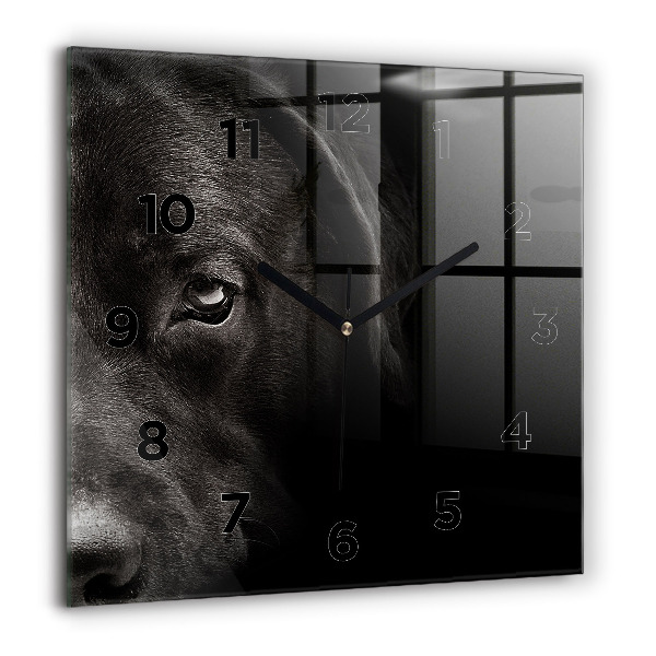 Orologio quadrato Cane e gatto Scottish Fold