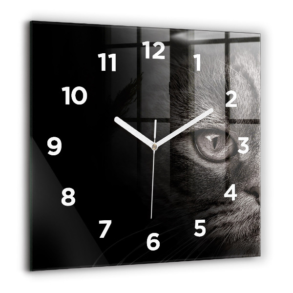 Orologio quadrato Cane e gatto Scottish Fold