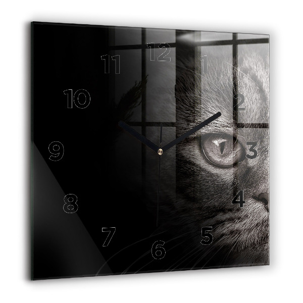 Orologio quadrato Cane e gatto Scottish Fold