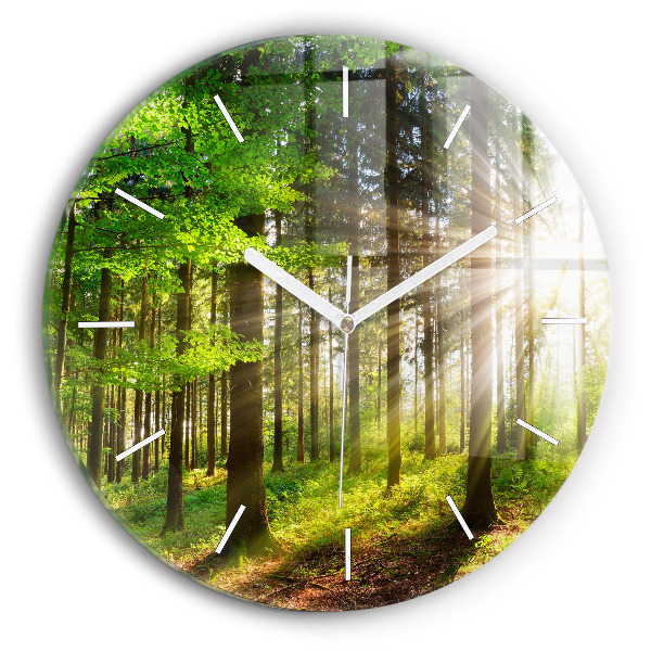 Orologio rotondo Alba nella foresta