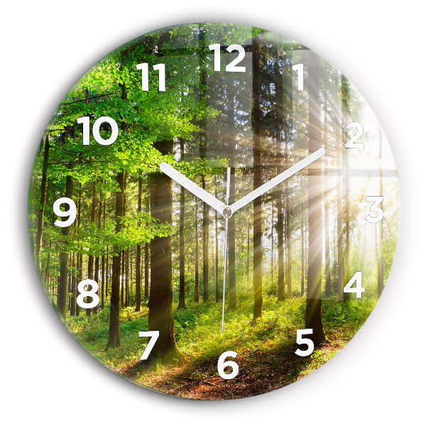 Orologio rotondo Alba nella foresta