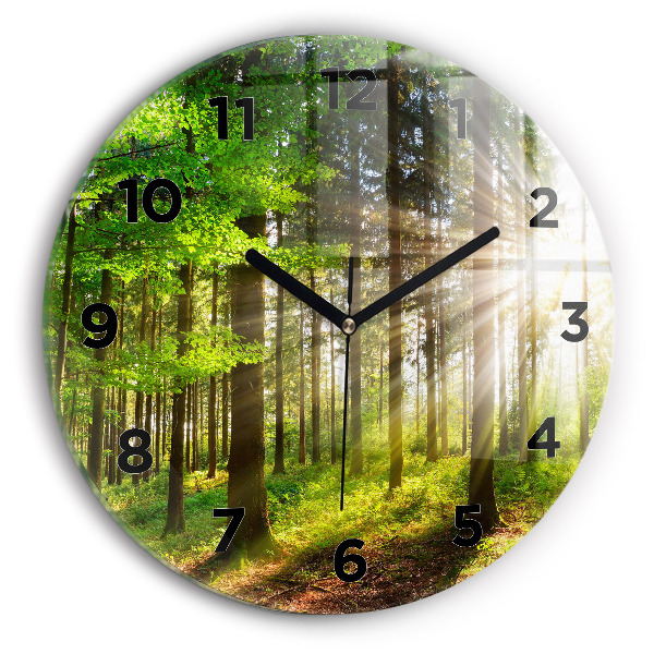 Orologio rotondo Alba nella foresta