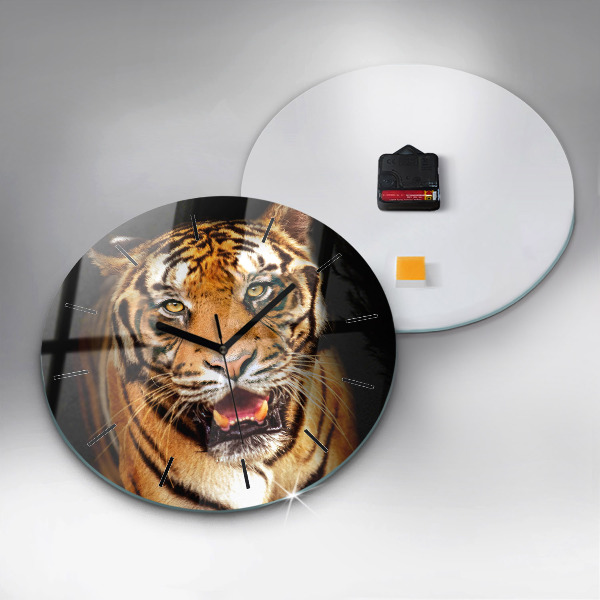 Orologio rotondo Tigre - sguardo selvaggio