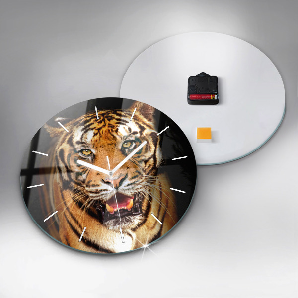 Orologio rotondo Tigre - sguardo selvaggio
