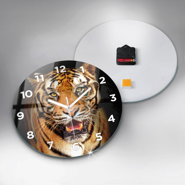Orologio rotondo Tigre - sguardo selvaggio