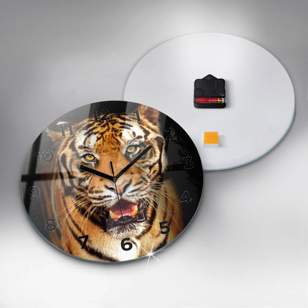 Orologio rotondo Tigre - sguardo selvaggio