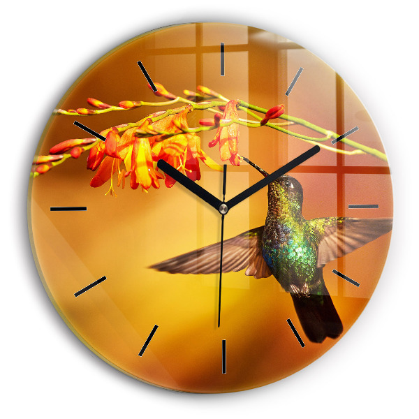 Orologio rotondo in vetro Uccello colibrì