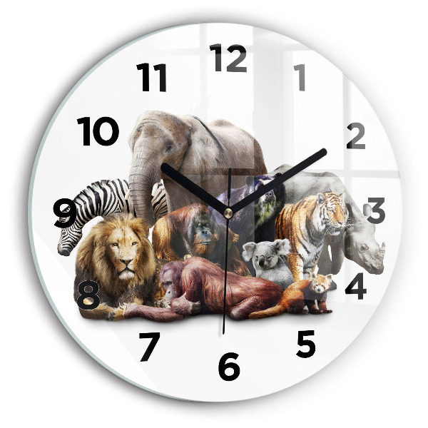 Orologio rotondo Animali selvatici