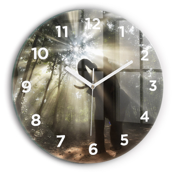 Orologio rotondo in vetro Elefante nella giungla