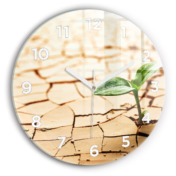 Orologio rotondo Piantare in terreno asciutto