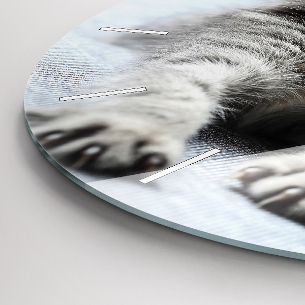 Orologio rotondo Gatto sul divano