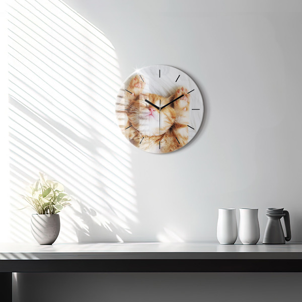 Orologio rotondo Gattino addormentato