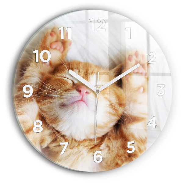 Orologio rotondo Gattino addormentato