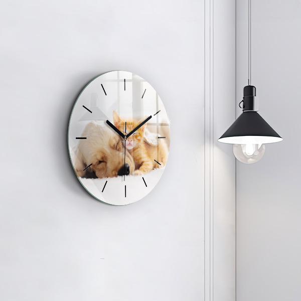 Orologio rotondo Gatto e cane addormentati