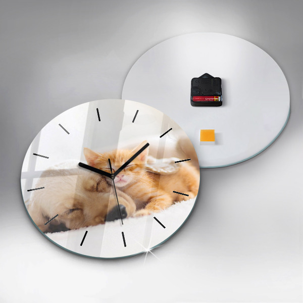 Orologio rotondo Gatto e cane addormentati