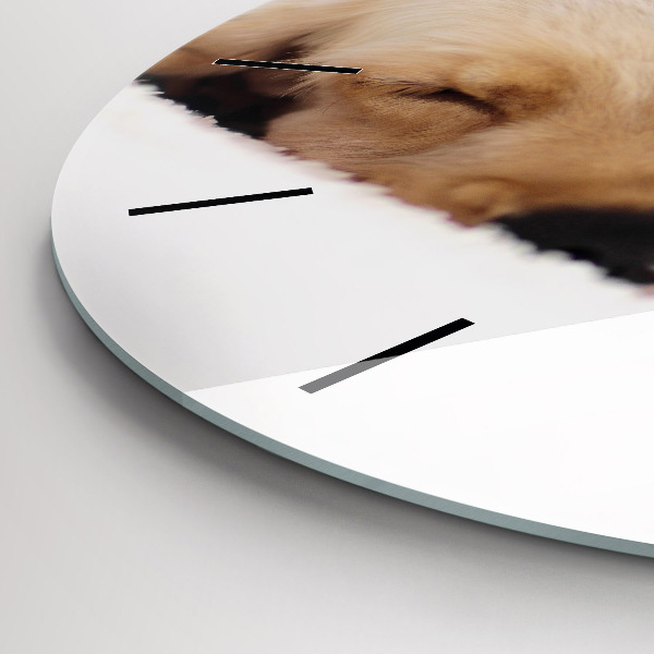 Orologio rotondo Gatto e cane addormentati