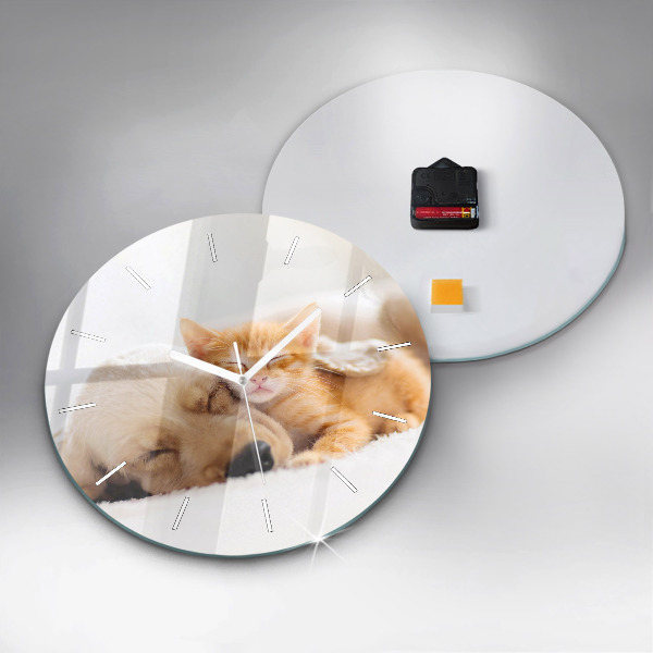 Orologio rotondo Gatto e cane addormentati