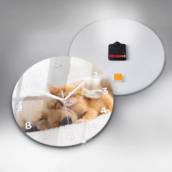 Orologio rotondo Gatto e cane addormentati