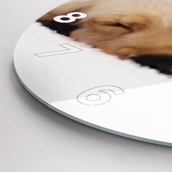 Orologio rotondo Gatto e cane addormentati