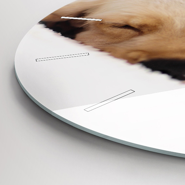 Orologio rotondo Gatto e cane addormentati