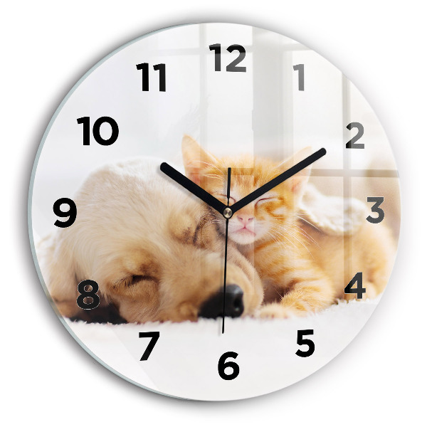 Orologio rotondo Gatto e cane addormentati