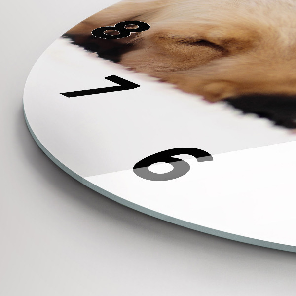 Orologio rotondo Gatto e cane addormentati