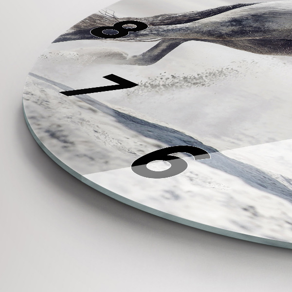 Orologio rotondo Cavallo bianco al galoppo