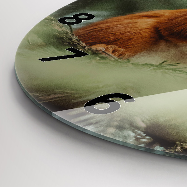 Orologio rotondo in vetro Scoiattolo e natura selvaggia