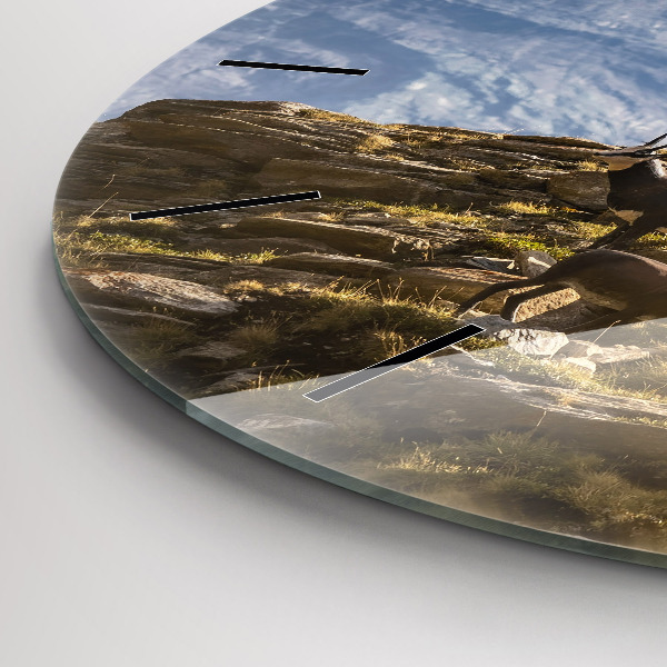 Orologio rotondo in vetro Capra in Valle d'Aosta