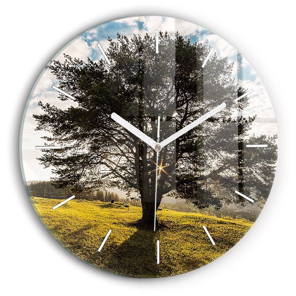Orologio rotondo in vetro Un albero su una collina