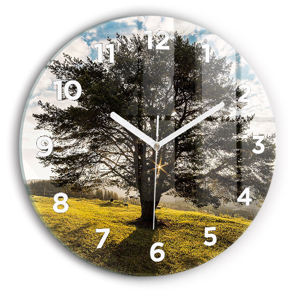 Orologio rotondo in vetro Un albero su una collina