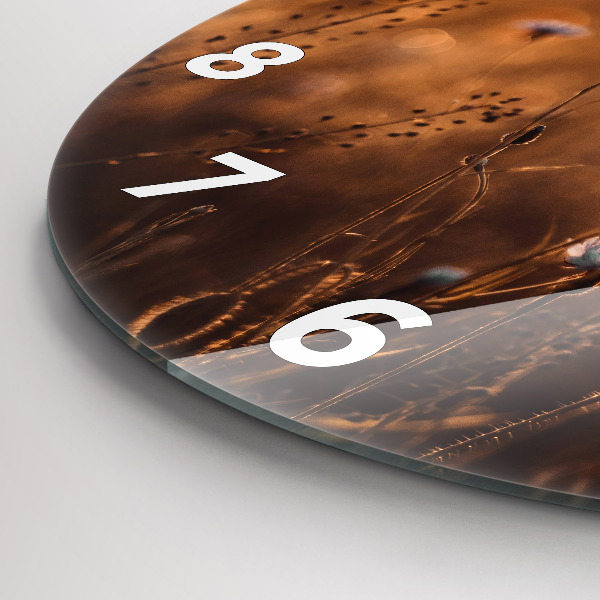 Orologio rotondo in vetro Alba sul campo