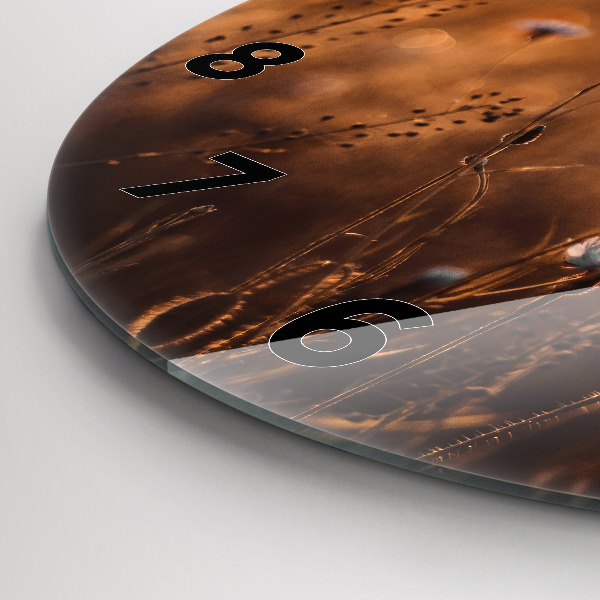 Orologio rotondo in vetro Alba sul campo