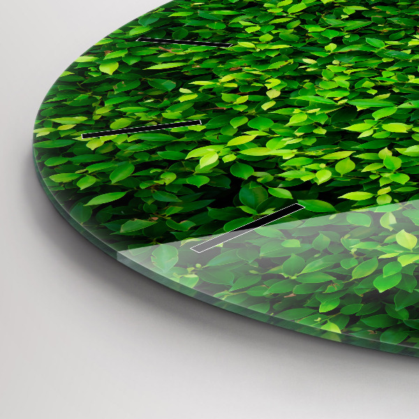 Orologio rotondo Foglie di siepe