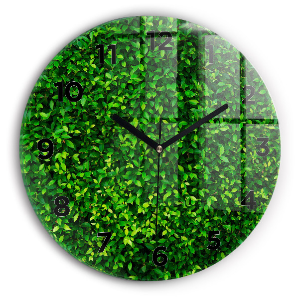 Orologio rotondo Foglie di siepe