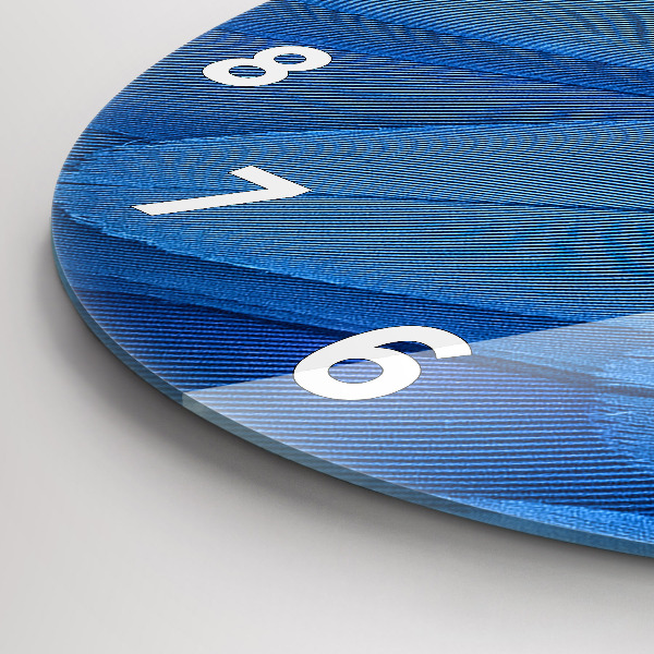 Orologio rotondo Piuma di uccello