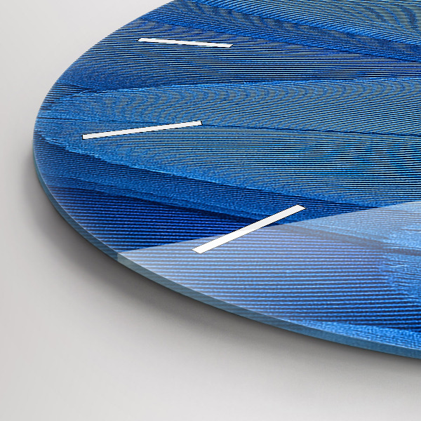 Orologio rotondo Piuma di uccello