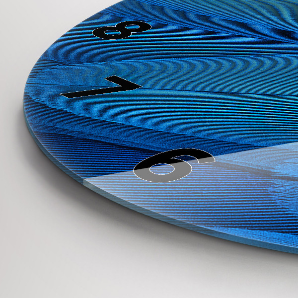 Orologio rotondo Piuma di uccello