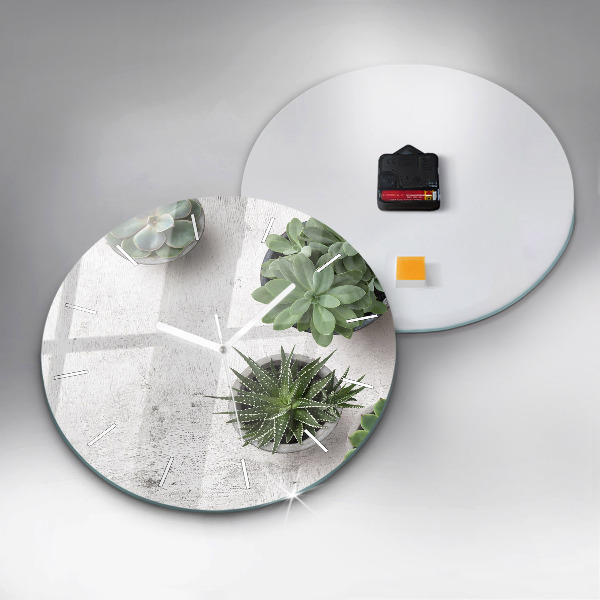 Orologio rotondo Piante ornamentali