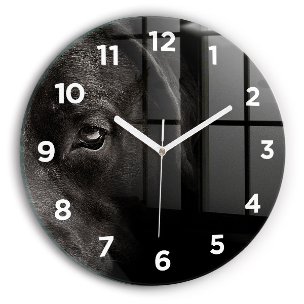 Orologio rotondo Cane e gatto Scottish Fold