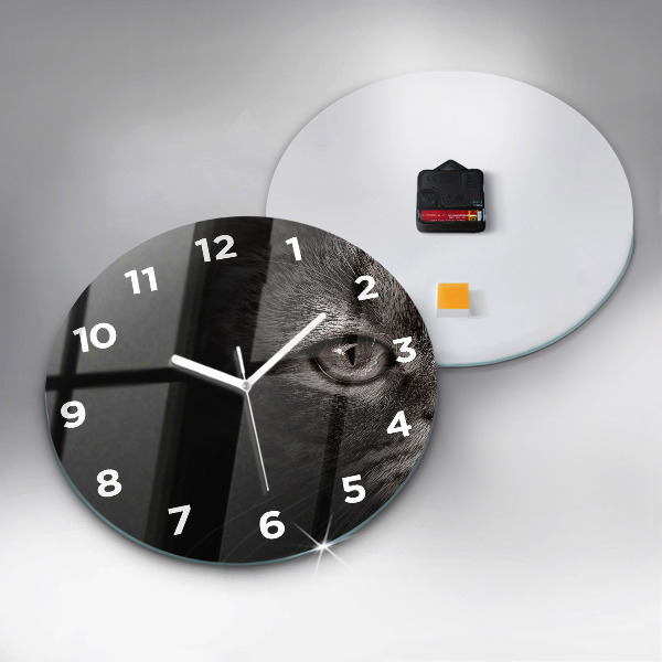 Orologio rotondo Cane e gatto Scottish Fold