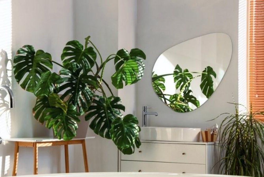 specchio per bagno bianco